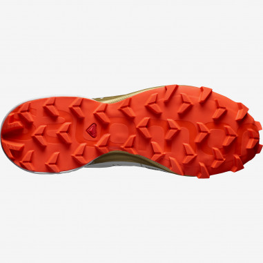 Chaussures Running SALOMON Femme Speedcross 5...