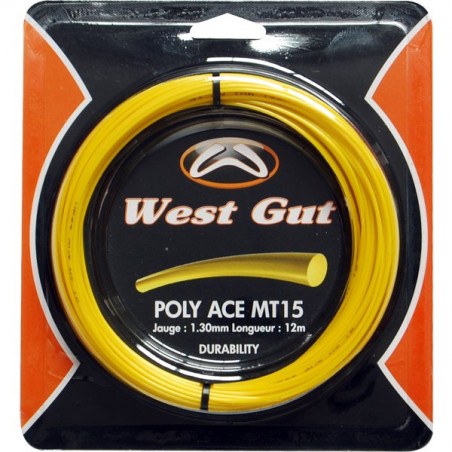 Cordage WEST GUT MT15 1,30mm (12 m)