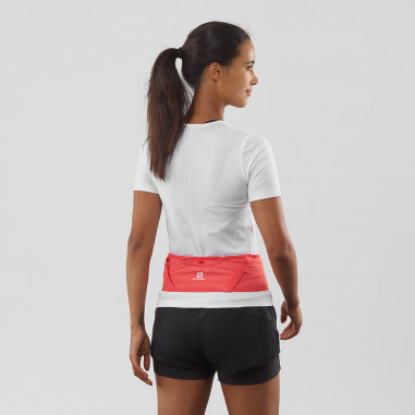Ceinture SALOMON Pulse Belt Cayenne PE 2020