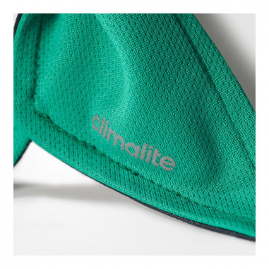Bandeau ADIDAS Roland Garros Vert / Gris...