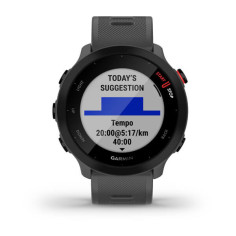 Montre GARMIN Forerunner 55 Gris Monterra 2021 2