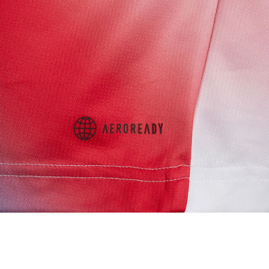 T-Shirt ADIDAS Garçon Junior Q1 TEE Blanc...