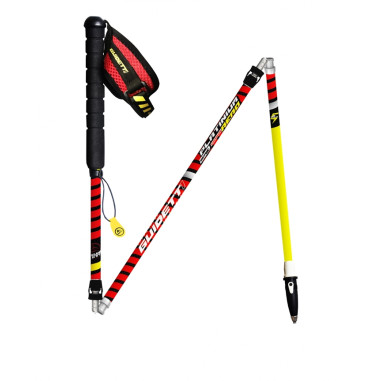 Bâton Trail GUIDETTI Platinium AERO PERF 2021