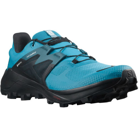 Chaussures Running SALOMON Homme WILDCROSS Bleue / Grise
