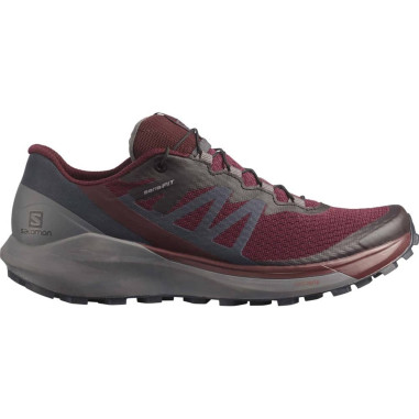 Chaussures Running SALOMON Femme SENSE RIDE 4 W Violet / Gris PE 2022