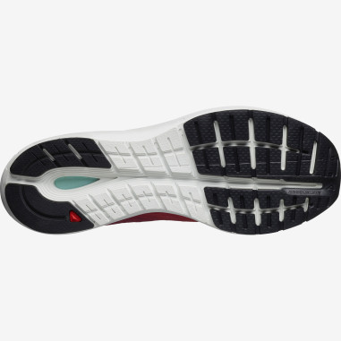 Chaussures Running SALOMON Homme SONIC 3...