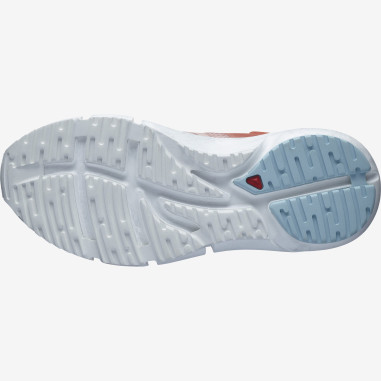 Chaussures Running SALOMON Femme PREDICT 2...