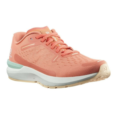 Chaussures Running SALOMON Femme SONIC 4...