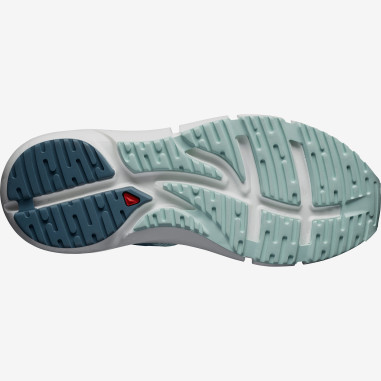 Chaussures Running SALOMON Femme PREDICT 2...