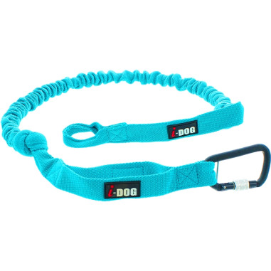 Accessoires Running RAIDLIGHT LONGE OPALE I-DOG 190 cm Gamme ALM Bleu AH 2022