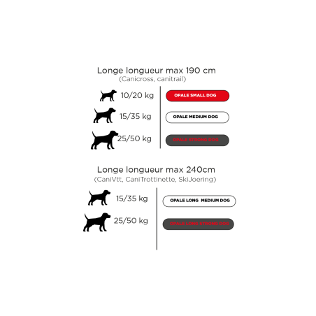 Accessoires Running RAIDLIGHT LONGE OPALE I-DOG 190 cm Gamme ALM Bleu AH 2022