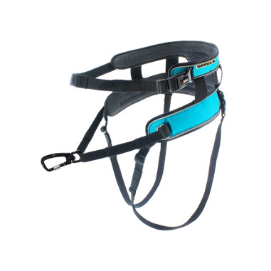 Accessoires Running RAIDLIGHT BAUDRIER IDOG Gamme ALM Bleu AH 2022