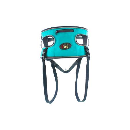 Accessoires Running RAIDLIGHT BAUDRIER CANYON I-DOG Gamme ALM Bleu AH 2022