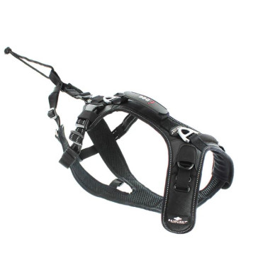 Accessoires Running RAIDLIGHT HARNAIS I-DOG RAIDLIGHT Noir AH 2022