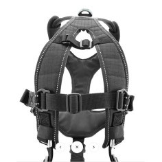 Accessoires Running RAIDLIGHT HARNAIS I-DOG RAIDLIGHT... 2