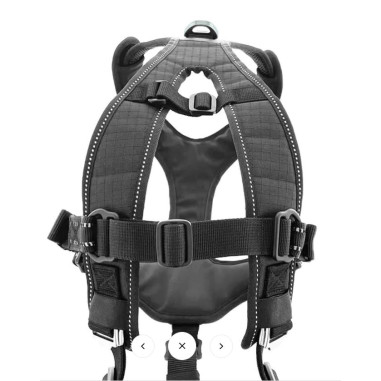 Accessoires Running RAIDLIGHT HARNAIS I-DOG...