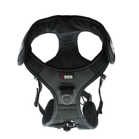Accessoires Running RAIDLIGHT HARNAIS I-DOG RAIDLIGHT Noir AH 2022