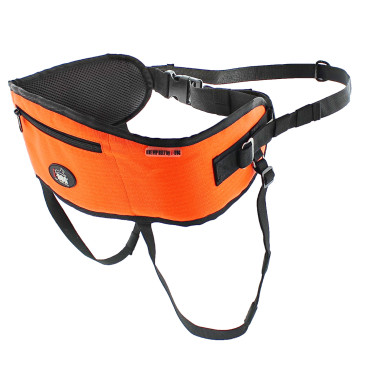 Accessoires Running RAIDLIGHT BAUDRIER I-DOG Canicross gamme ONE Orange AH 2022