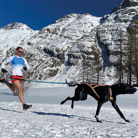 Accessoires Running RAIDLIGHT HARNAIS CANICROSS X-BAG ONE I-DOG Orange AH 2022