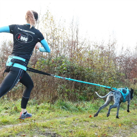 Accessoires Running RAIDLIGHT LONGE OPALE I-DOG 240 cm Gamme ALM Bleu AH 2022