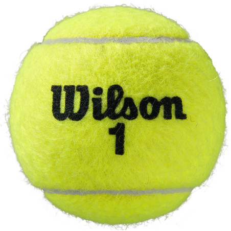 Bipack de 4 balles WILSON Roland Garros All Court