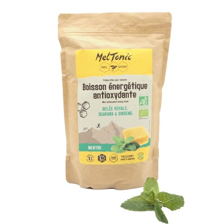 Boissons ENERGETIQUE ANTIOXYDANTE MELTONIC Menthe 700g