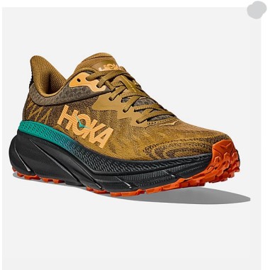 Chaussures Running HOKA Homme CHALLENGER ATR 7...