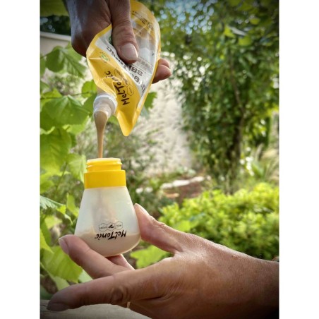 Purée TONIC SALEE MELTONIC Cajou / Miel / Fleur de Sel et Gelée 165 gr 2023