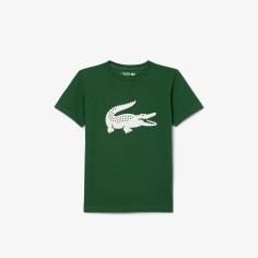 T-Shirt LACOSTE Junior Garçon SPORT Vert / Blanc PE 2025