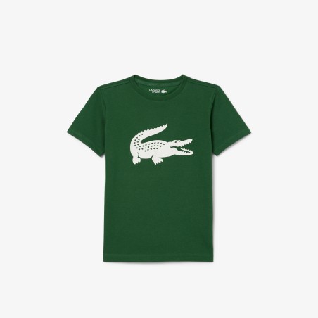 T-Shirt LACOSTE Junior Garçon SPORT Vert / Blanc PE 2025