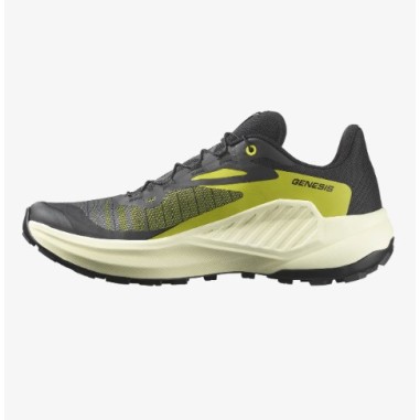 Chaussures Running SALOMON Homme GENESIS Noir /...