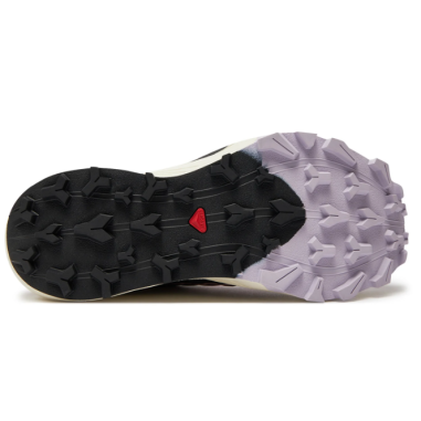 Chaussures Running SALOMON Femme THUNDERCROSS...