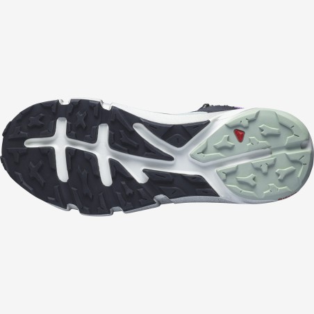 Chaussures Running SALOMON Homme PREDICT HIKE MID GTX Noir / Violet AH 2021