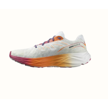 Chaussures Running SALOMON Homme AERO GLIDE 2...