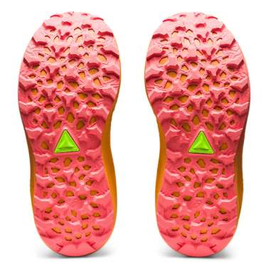 Chaussures Running ASICS Femme TRABUCO MAX 2...