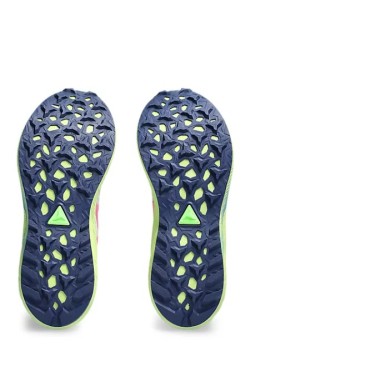 Chaussures Running ASICS Femme FUJI LITE 4...