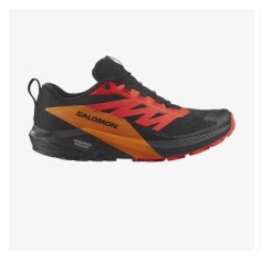 Chaussures Running SALOMON Femme SENSE RIDE 5 GTX Orange...