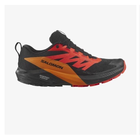 Chaussures Running SALOMON Femme SENSE RIDE 5 GTX Orange / Noir   AH 2023