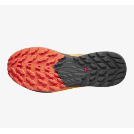 Chaussures Running SALOMON Homme SENSE RIDE 5 GTX Orange / Noir AH 2023