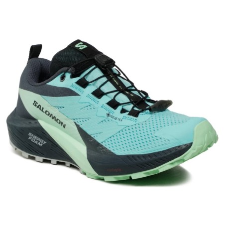 Chaussures Running SALOMON Femme SENSE RIDE 5 GTX Grise / Bleue AH 2023
