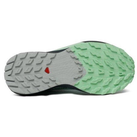 Chaussures Running SALOMON Femme SENSE RIDE 5 GTX Grise / Bleue AH 2023