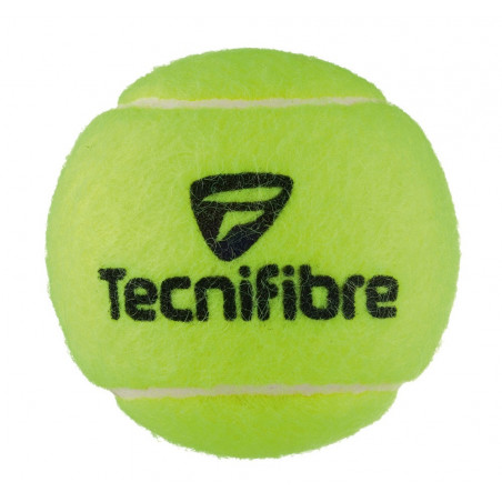 Tube de 4 balles TECNIFIBRE Club