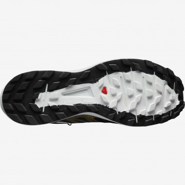 Chaussures Running SALOMON Homme Sense Ride 3...